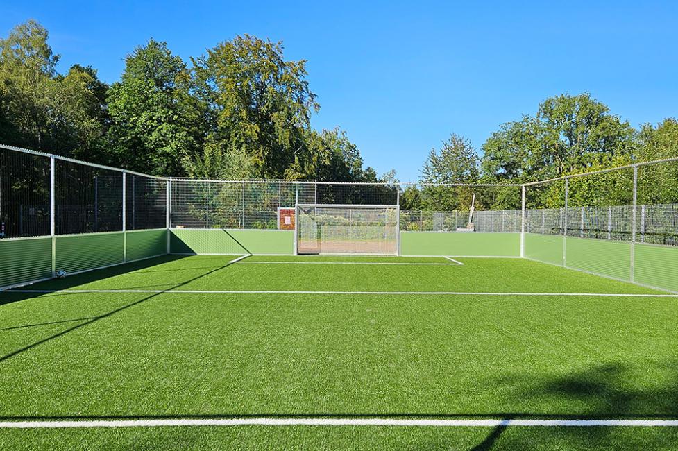 Soccer Court „Pro Line Alu“