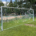 SCHAEPER Fußballtor Typ 2, eingefräste Netzaufhängung