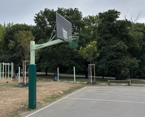 Basketballständer "SteelForce" mit Gitterzielbrett 180 x 105 cm, in RAL 6019 weißgrün
